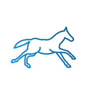 Tierphysio-Button-Pferd
